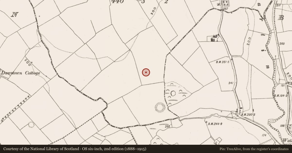 Ordnance Survey six-inch map, 2nd edition (1888–1915) covering the location of Standing stone, Knocknalyre, County Cork, with a pin at the register's coordinates