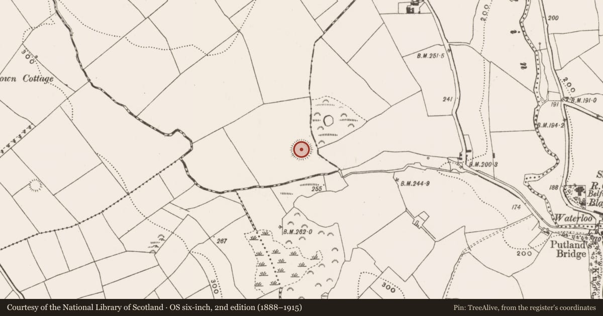 Ordnance Survey six-inch map, 2nd edition (1888–1915) covering the location of Ringfort - rath, Knocknalyre, County Cork, with a pin at the register's coordinates