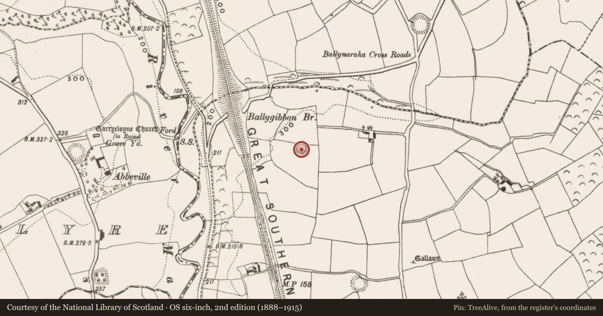 Ordnance Survey six-inch map, 2nd edition (1888–1915) covering the location of Ringfort - rath, Ballygibbon, County Cork, with a pin at the register's coordinates