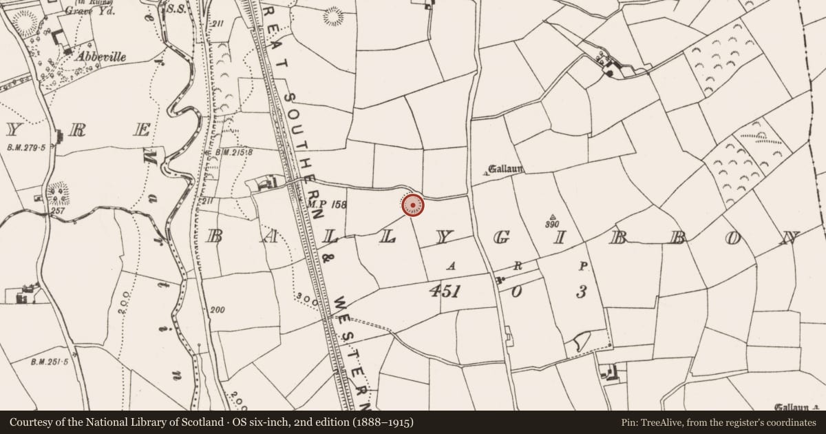 Ordnance Survey six-inch map, 2nd edition (1888–1915) covering the location of Ringfort - rath, Ballygibbon, County Cork, with a pin at the register's coordinates