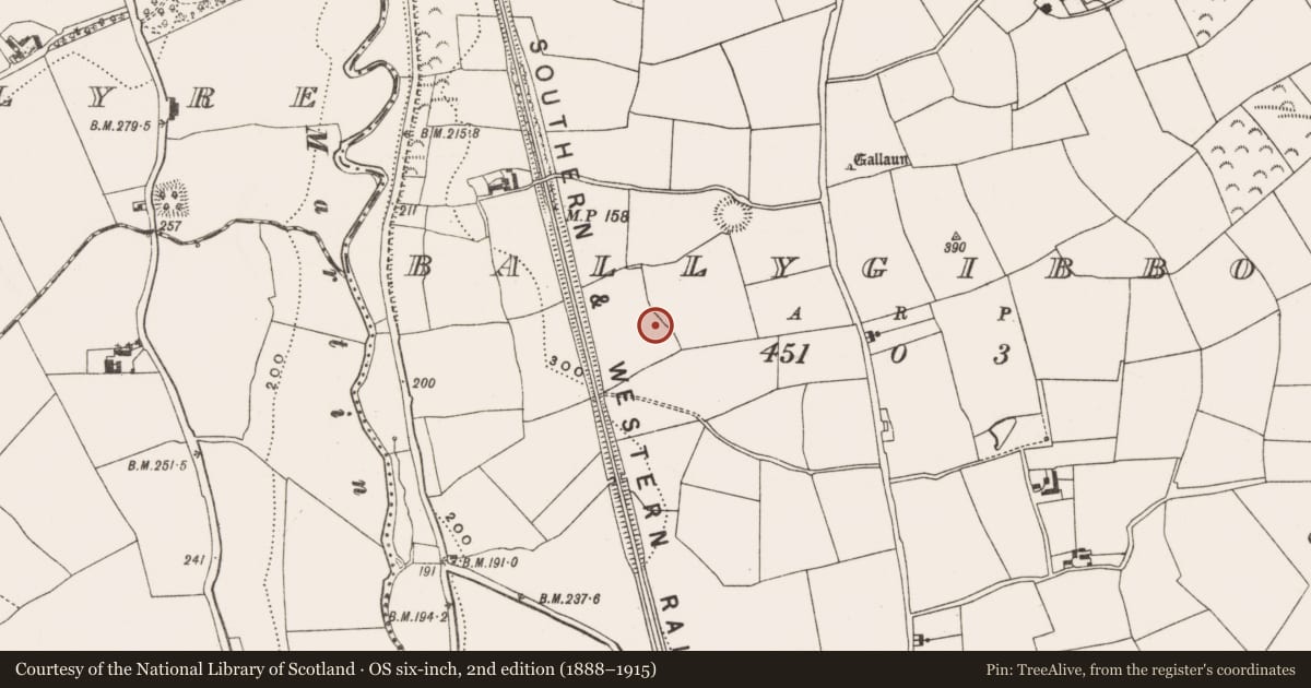 Ordnance Survey six-inch map, 2nd edition (1888–1915) covering the location of Ringfort - rath, Ballygibbon, County Cork, with a pin at the register's coordinates