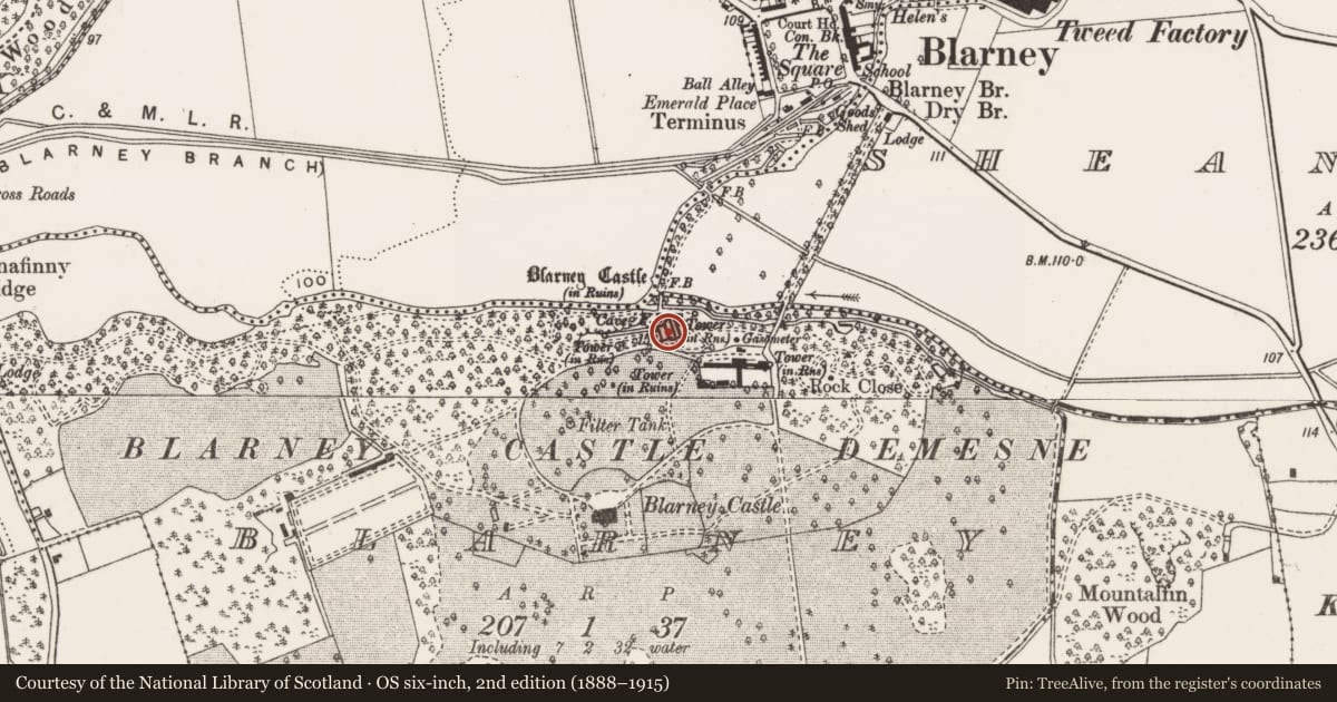 Ordnance Survey six-inch map, 2nd edition (1888–1915) covering the location of Bawn, Blarney, County Cork, with a pin at the register's coordinates