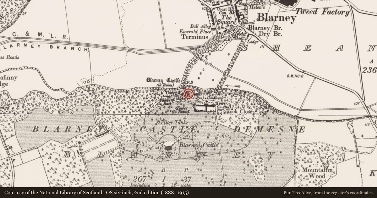 Ordnance Survey six-inch map, 2nd edition (1888–1915) covering the location of Cave, Blarney, County Cork, with a pin at the register's coordinates