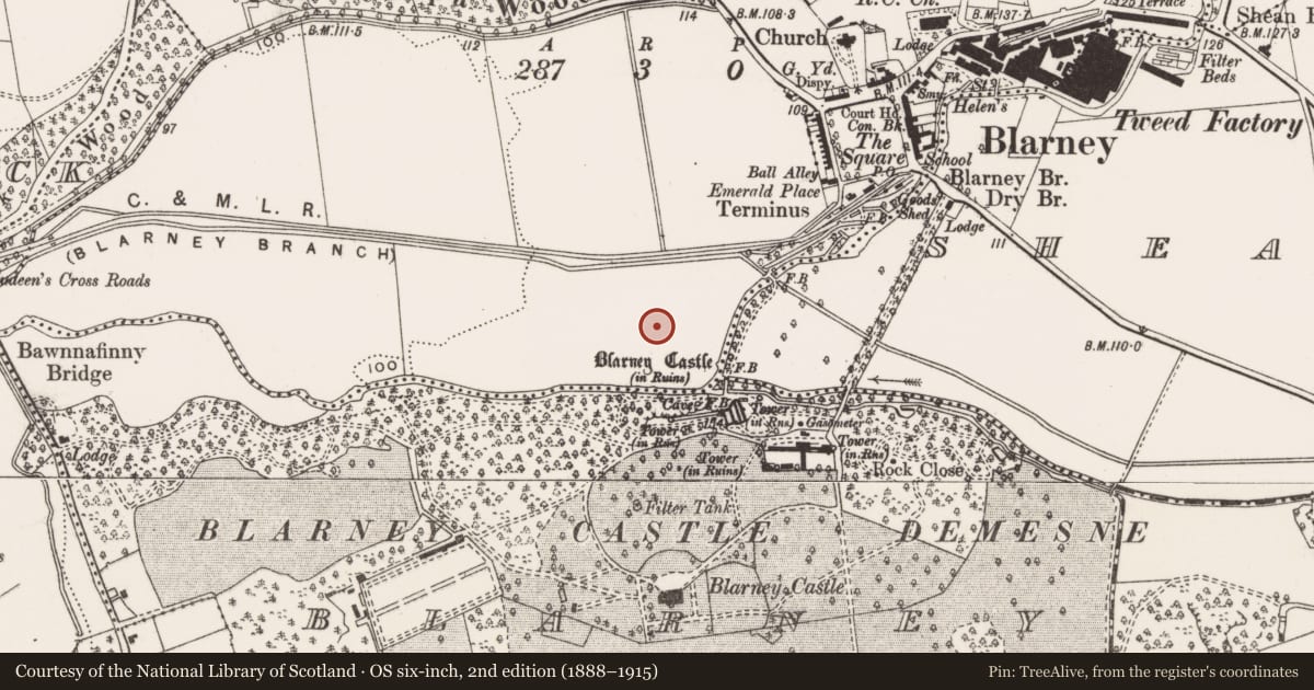 Ordnance Survey six-inch map, 2nd edition (1888–1915) covering the location of Designed landscape - tree-ring, Monacnapa, County Cork, with a pin at the register's coordinates