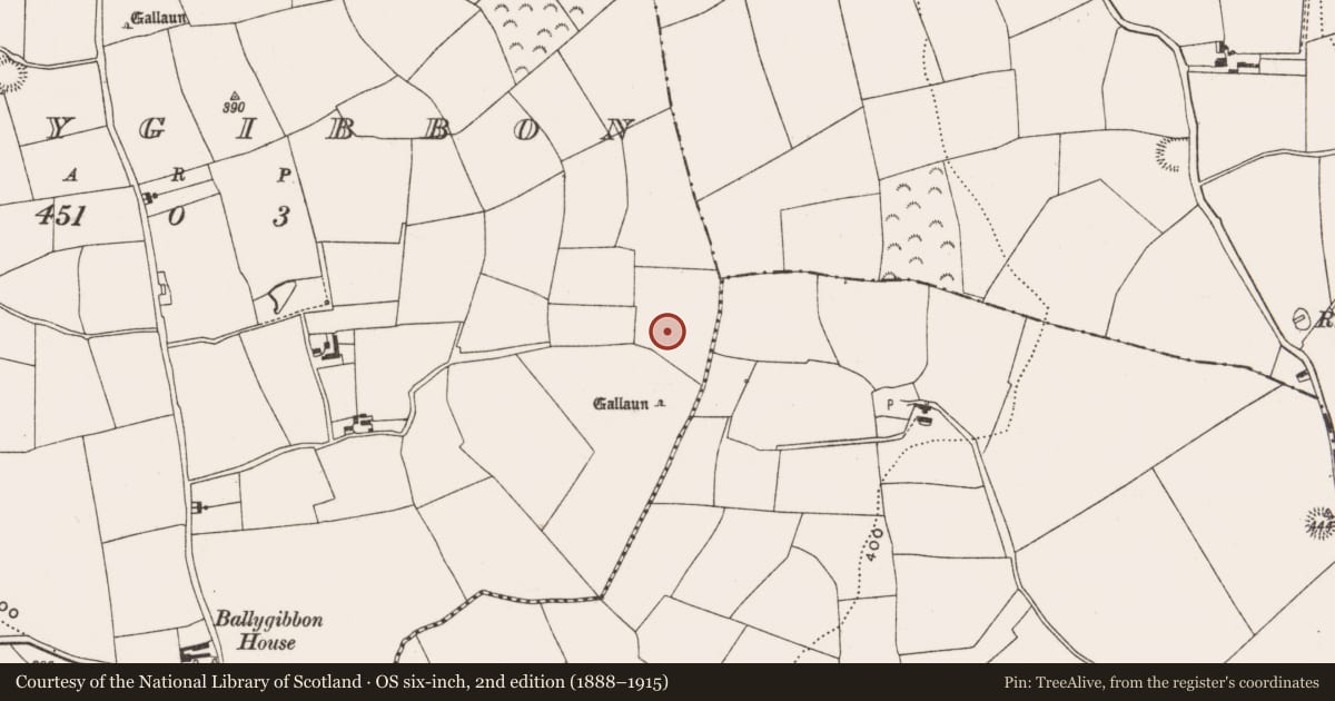 Ordnance Survey six-inch map, 2nd edition (1888–1915) covering the location of Fulacht fia, Ballygibbon, County Cork, with a pin at the register's coordinates