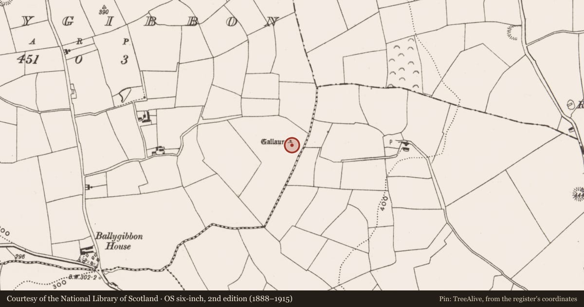 Ordnance Survey six-inch map, 2nd edition (1888–1915) covering the location of Standing stone - pair, Ballygibbon, County Cork, with a pin at the register's coordinates