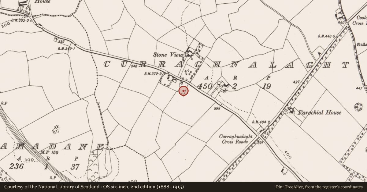 Ordnance Survey six-inch map, 2nd edition (1888–1915) covering the location of Ringfort - rath, Curraghnalaght, County Cork, with a pin at the register's coordinates