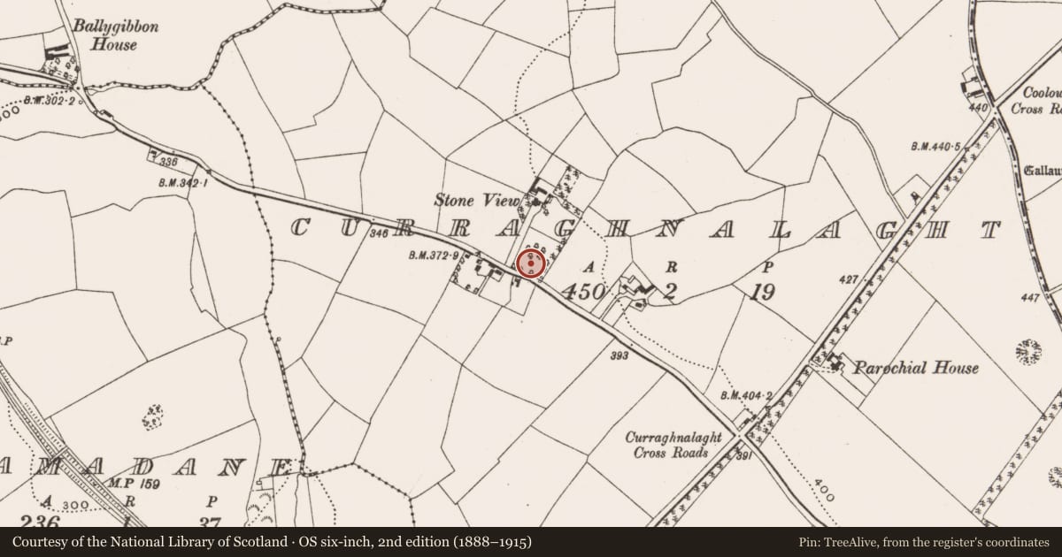 Ordnance Survey six-inch map, 2nd edition (1888–1915) covering the location of Fulacht fia, Curraghnalaght, County Cork, with a pin at the register's coordinates