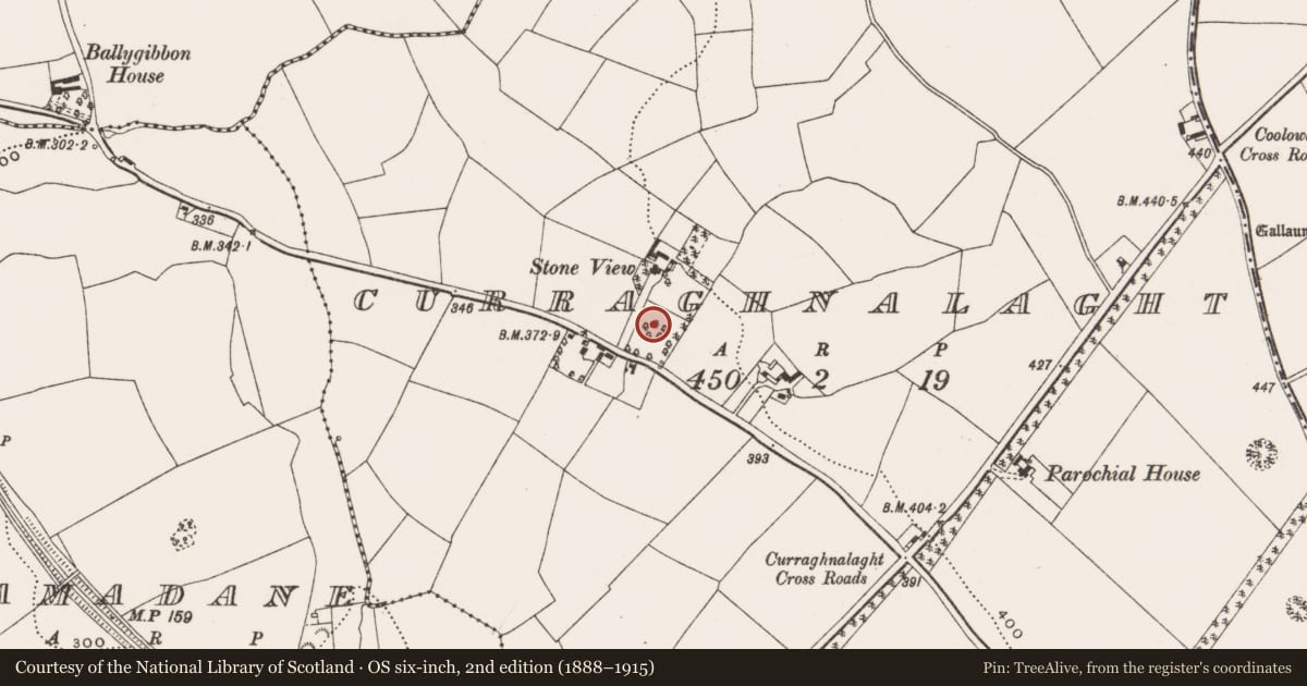 Ordnance Survey six-inch map, 2nd edition (1888–1915) covering the location of Mound, Curraghnalaght, County Cork, with a pin at the register's coordinates