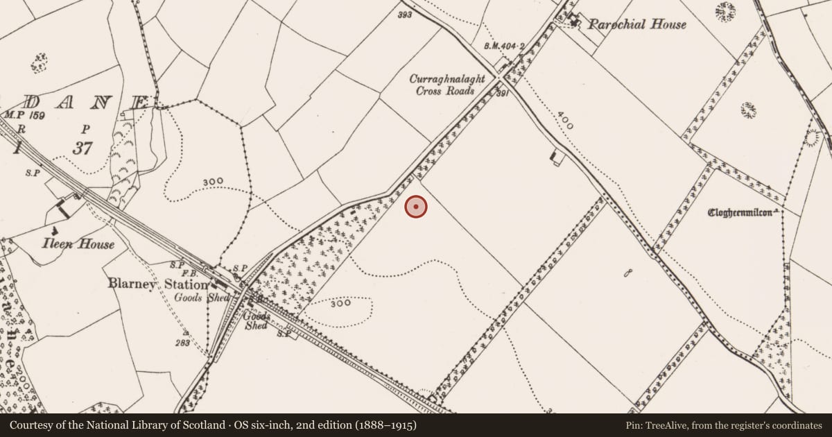 Ordnance Survey six-inch map, 2nd edition (1888–1915) covering the location of Stone row, Curraghnalaght, County Cork, with a pin at the register's coordinates