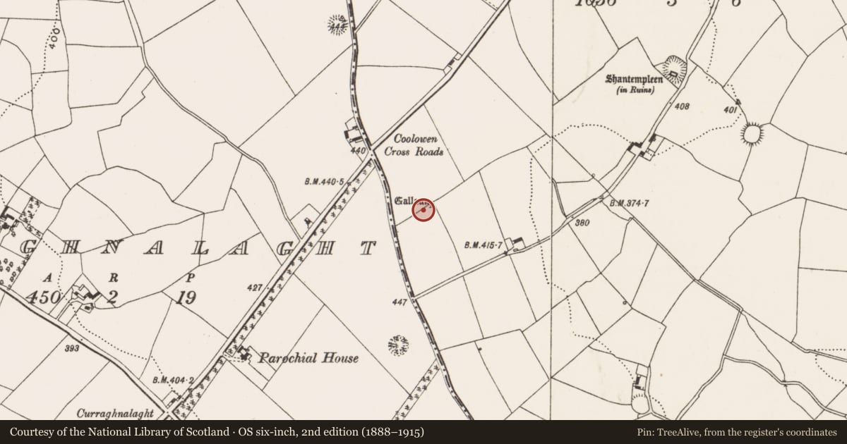 Ordnance Survey six-inch map, 2nd edition (1888–1915) covering the location of Standing stone, Coolowen, County Cork, with a pin at the register's coordinates