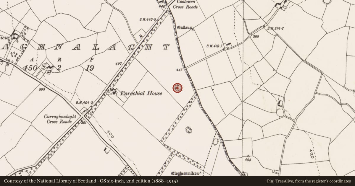 Ordnance Survey six-inch map, 2nd edition (1888–1915) covering the location of Ringfort - rath, Curraghnalaght, County Cork, with a pin at the register's coordinates