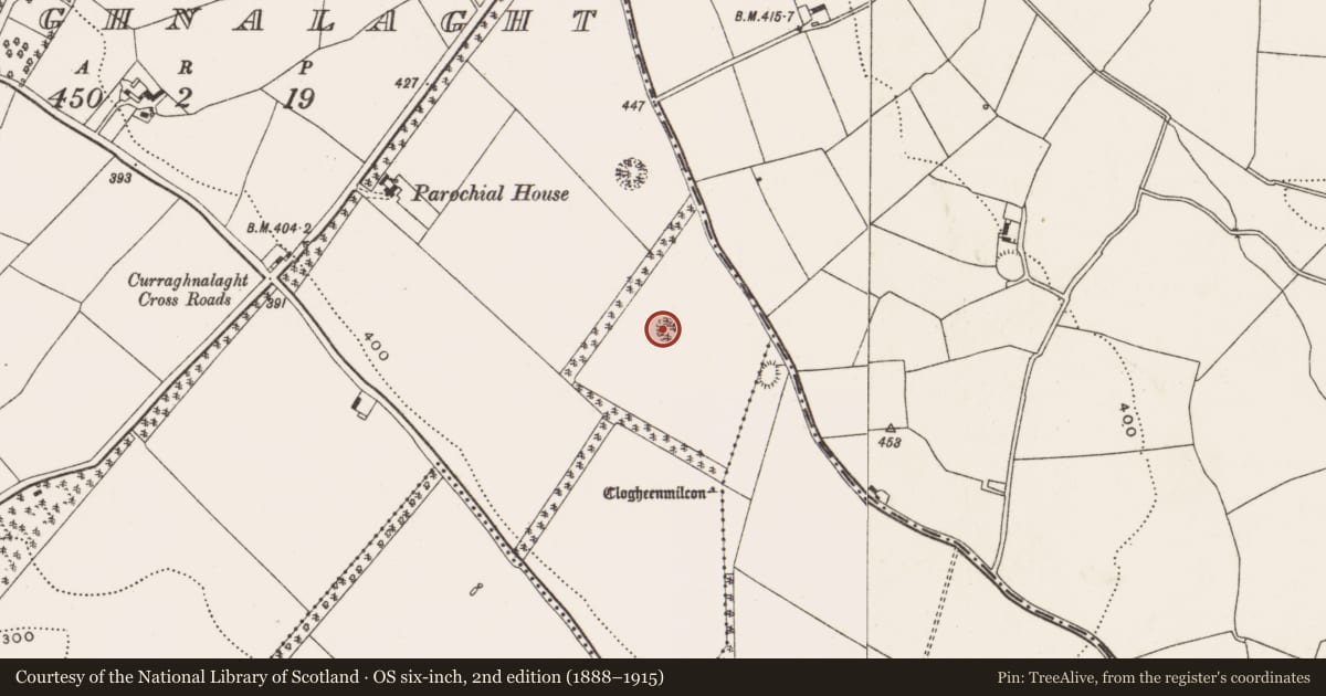 Ordnance Survey six-inch map, 2nd edition (1888–1915) covering the location of Ringfort - rath, Curraghnalaght, County Cork, with a pin at the register's coordinates