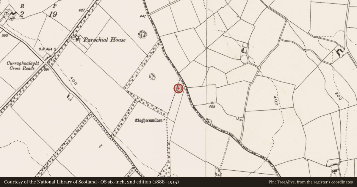 Ordnance Survey six-inch map, 2nd edition (1888–1915) covering the location of Ringfort - rath, Clogheenmilcon, County Cork, with a pin at the register's coordinates