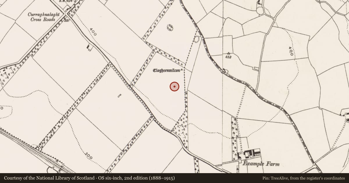 Ordnance Survey six-inch map, 2nd edition (1888–1915) covering the location of Standing stone, Curraghnalaght, County Cork, with a pin at the register's coordinates