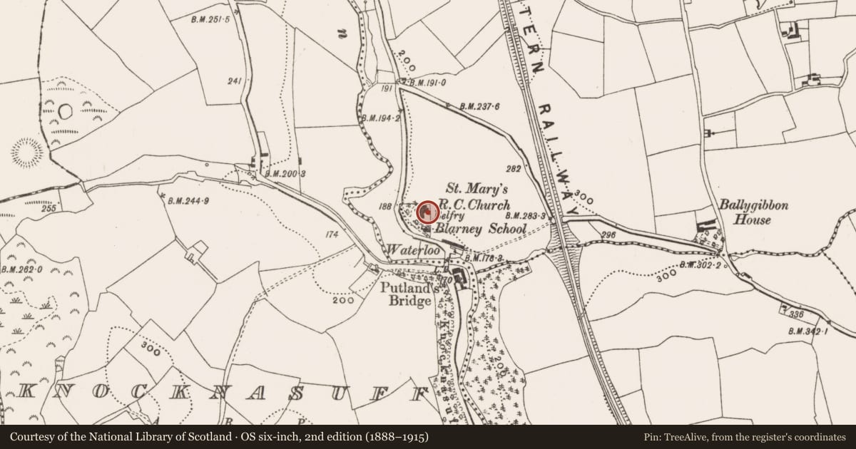 Ordnance Survey six-inch map, 2nd edition (1888–1915) covering the location of Designed landscape - belvedere, Ballygibbon, County Cork, with a pin at the register's coordinates