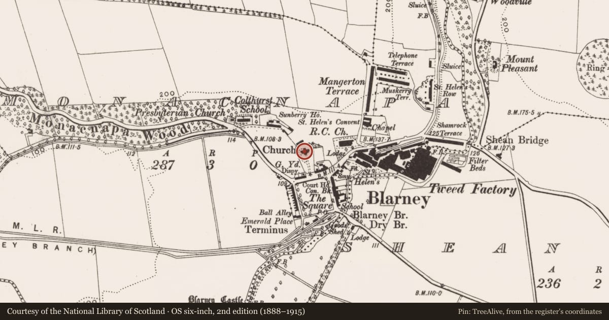 Ordnance Survey six-inch map, 2nd edition (1888–1915) covering the location of Church, Monacnapa, County Cork, with a pin at the register's coordinates