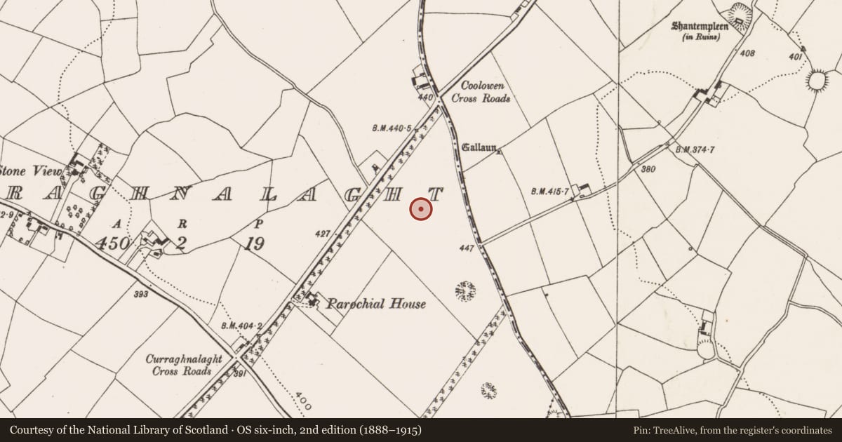 Ordnance Survey six-inch map, 2nd edition (1888–1915) covering the location of Enclosure, Curraghnalaght, County Cork, with a pin at the register's coordinates