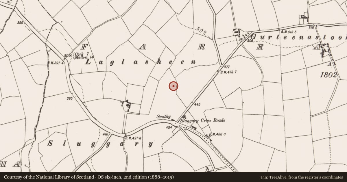 Ordnance Survey six-inch map, 2nd edition (1888–1915) covering the location of Ringfort - rath, Farranastig, County Cork, with a pin at the register's coordinates