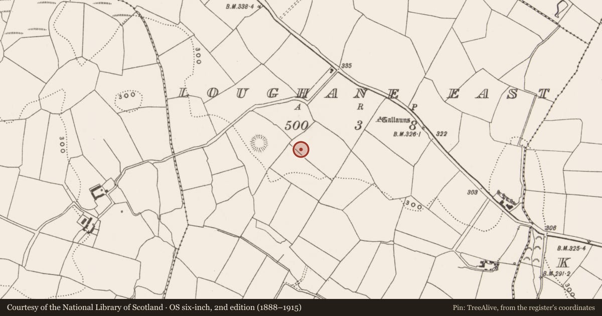 Ordnance Survey six-inch map, 2nd edition (1888–1915) covering the location of Standing stone, Loughane East, County Cork, with a pin at the register's coordinates