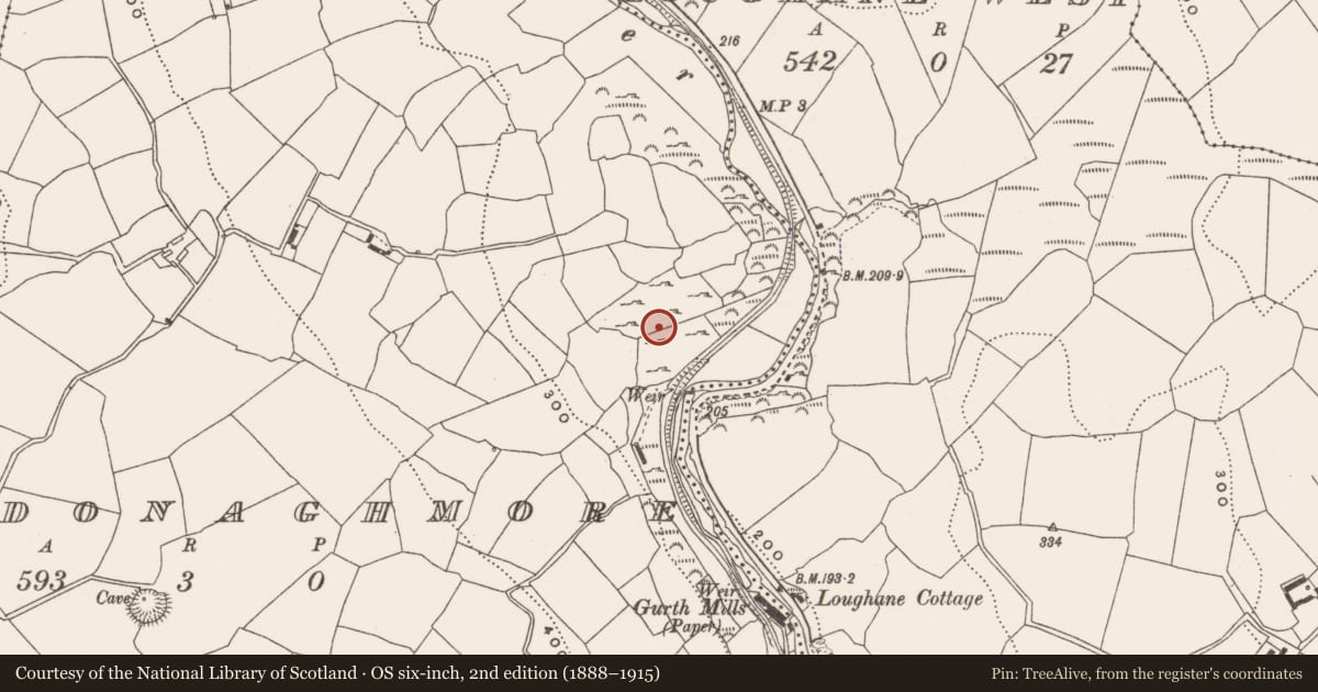 Ordnance Survey six-inch map, 2nd edition (1888–1915) covering the location of Burial ground, Gortdonaghmore, County Cork, with a pin at the register's coordinates
