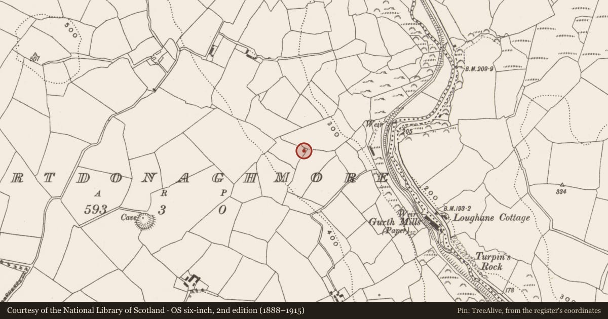 Ordnance Survey six-inch map, 2nd edition (1888–1915) covering the location of Fulacht fia, Gortdonaghmore, County Cork, with a pin at the register's coordinates