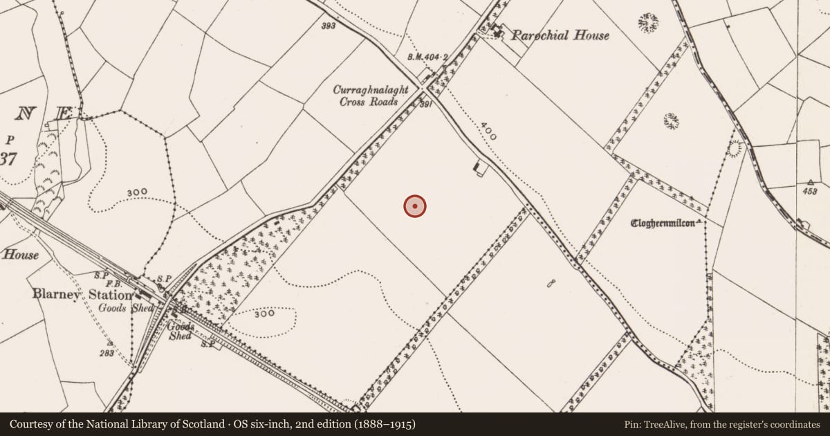 Ordnance Survey six-inch map, 2nd edition (1888–1915) covering the location of Fulacht fia, Curraghnalaght, County Cork, with a pin at the register's coordinates