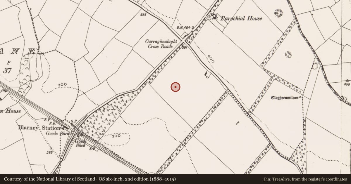 Ordnance Survey six-inch map, 2nd edition (1888–1915) covering the location of Fulacht fia, Curraghnalaght, County Cork, with a pin at the register's coordinates