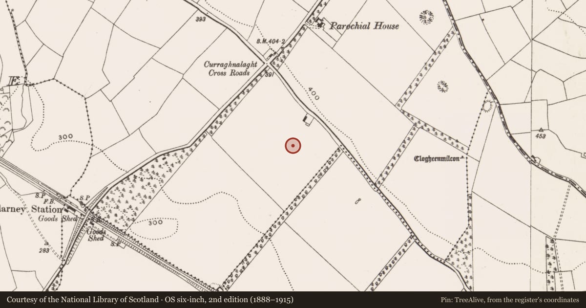 Ordnance Survey six-inch map, 2nd edition (1888–1915) covering the location of Fulacht fia, Curraghnalaght, County Cork, with a pin at the register's coordinates