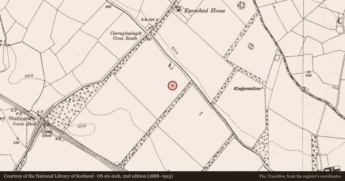 Ordnance Survey six-inch map, 2nd edition (1888–1915) covering the location of Fulacht fia, Curraghnalaght, County Cork, with a pin at the register's coordinates