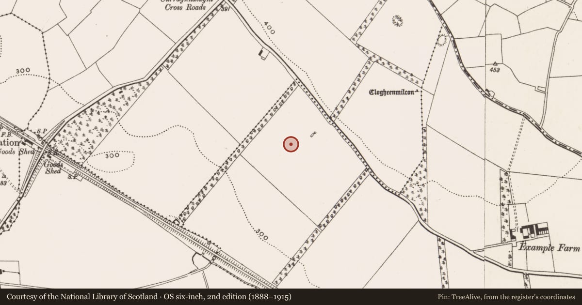 Ordnance Survey six-inch map, 2nd edition (1888–1915) covering the location of Fulacht fia, Clogheenmilcon, County Cork, with a pin at the register's coordinates