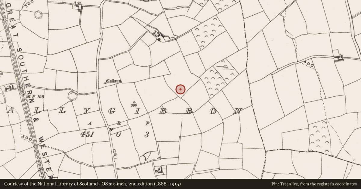 Ordnance Survey six-inch map, 2nd edition (1888–1915) covering the location of Fulacht fia, Ballygibbon, County Cork, with a pin at the register's coordinates