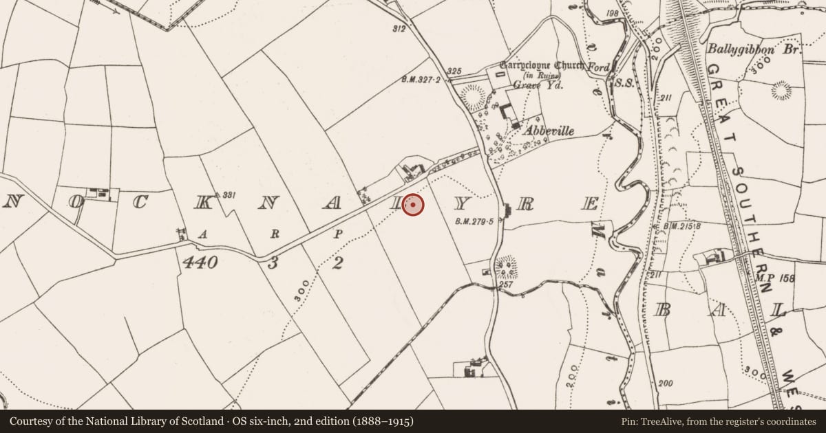 Ordnance Survey six-inch map, 2nd edition (1888–1915) covering the location of Fulacht fia, Knocknalyre, County Cork, with a pin at the register's coordinates
