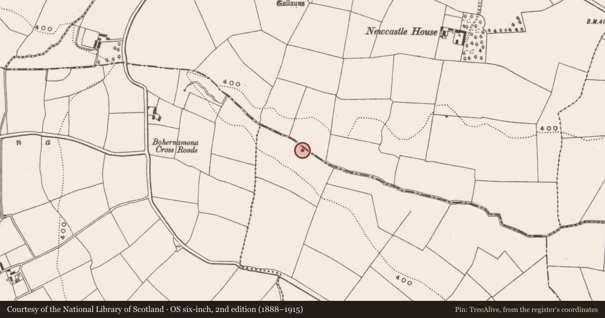 Ordnance Survey six-inch map, 2nd edition (1888–1915) covering the location of Fulacht fia, Dawstown (Muskerry East By., Garrycloyne Par.), County Cork, with a pin at the register's coordinates