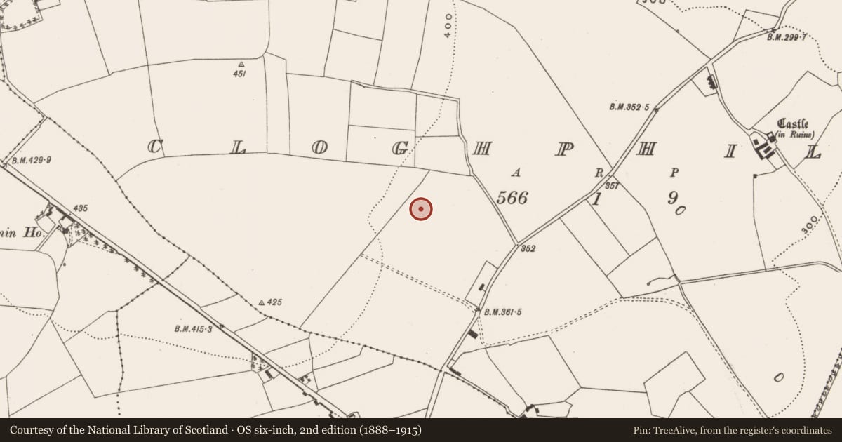 Ordnance Survey six-inch map, 2nd edition (1888–1915) covering the location of Fulacht fia, Cloghphilip, County Cork, with a pin at the register's coordinates