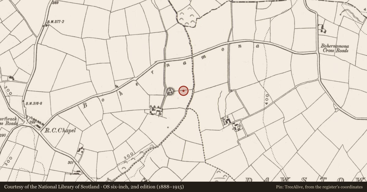 Ordnance Survey six-inch map, 2nd edition (1888–1915) covering the location of Burnt spread, Courtbrack, County Cork, with a pin at the register's coordinates