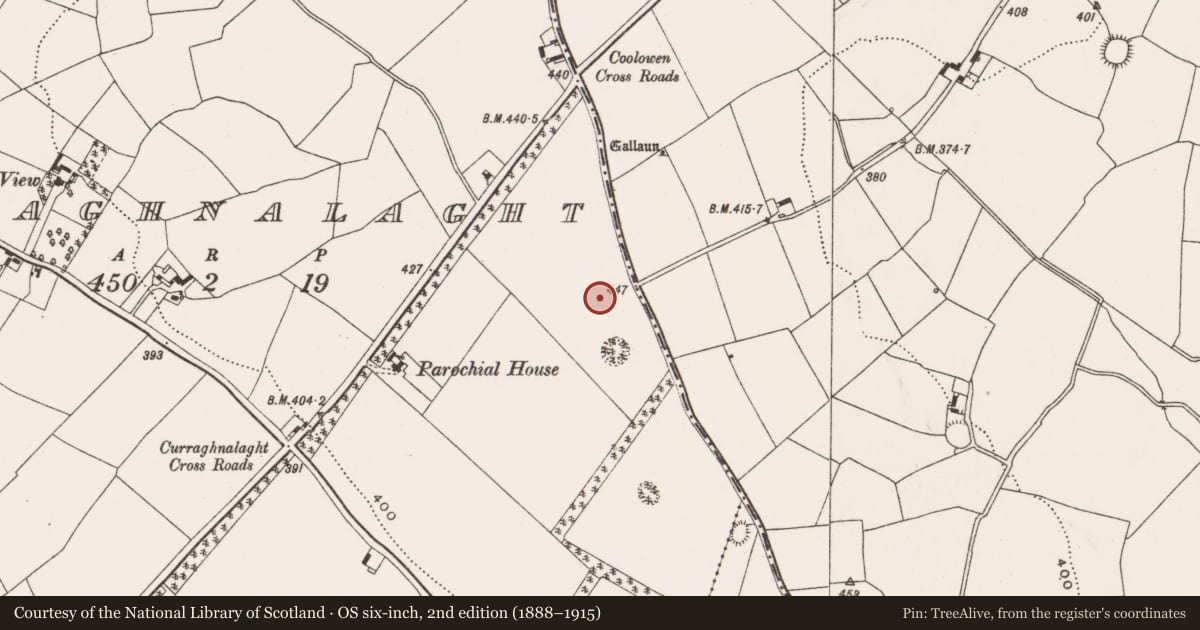 Ordnance Survey six-inch map, 2nd edition (1888–1915) covering the location of Earthwork, Curraghnalaght, County Cork, with a pin at the register's coordinates