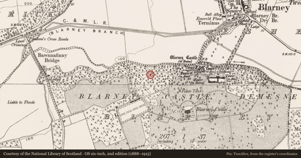 Ordnance Survey six-inch map, 2nd edition (1888–1915) covering the location of Icehouse, Blarney, County Cork, with a pin at the register's coordinates