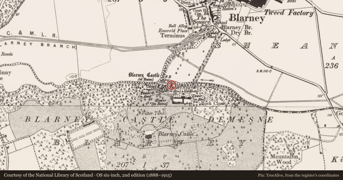 Ordnance Survey six-inch map, 2nd edition (1888–1915) covering the location of Designed landscape - belvedere, Blarney, County Cork, with a pin at the register's coordinates