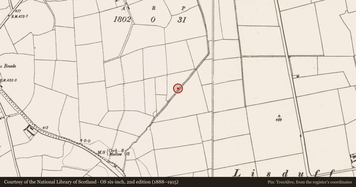 Ordnance Survey six-inch map, 2nd edition (1888–1915) covering the location of Burnt mound, Farranastig, County Cork, with a pin at the register's coordinates