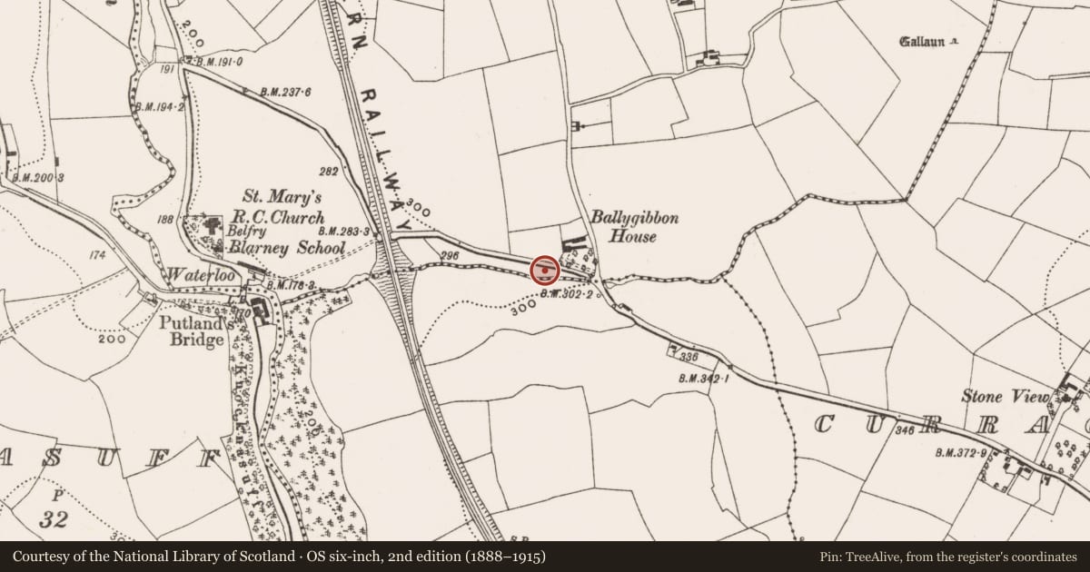 Ordnance Survey six-inch map, 2nd edition (1888–1915) covering the location of Burnt mound, Ballygibbon, County Cork, with a pin at the register's coordinates