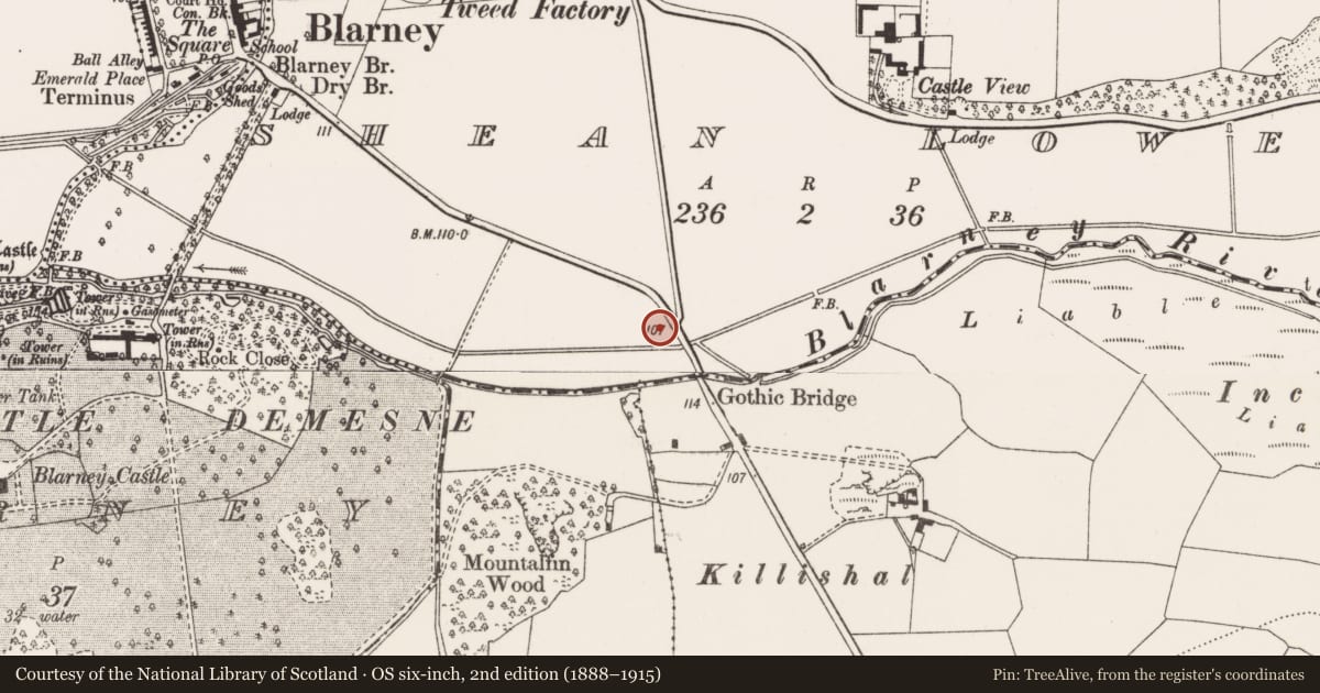 Ordnance Survey six-inch map, 2nd edition (1888–1915) covering the location of Church, Shean Lower, County Cork, with a pin at the register's coordinates