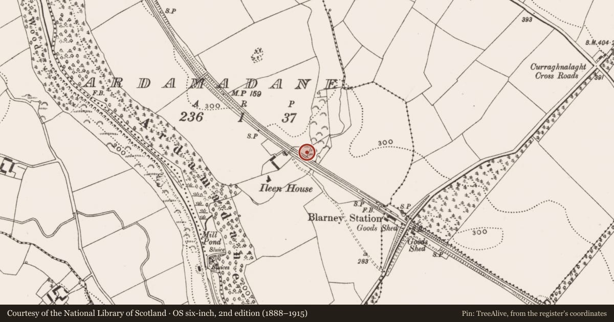 Ordnance Survey six-inch map, 2nd edition (1888–1915) covering the location of Fulacht fia, Ardamadane, County Cork, with a pin at the register's coordinates