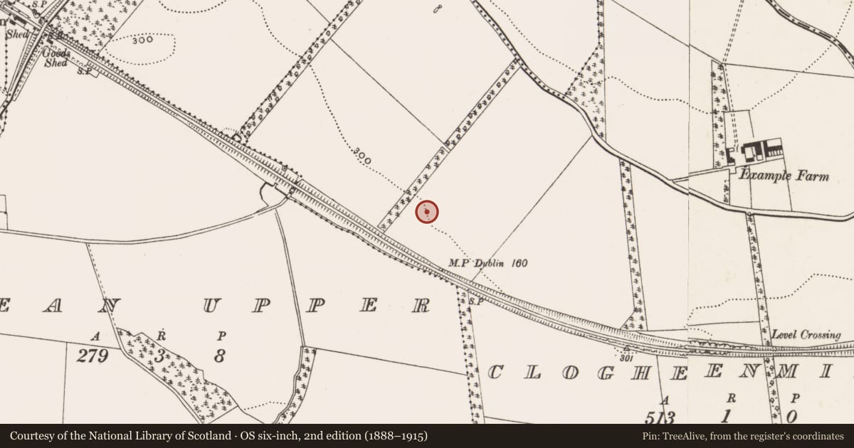 Ordnance Survey six-inch map, 2nd edition (1888–1915) covering the location of Fulacht fia, Clogheenmilcon, County Cork, with a pin at the register's coordinates