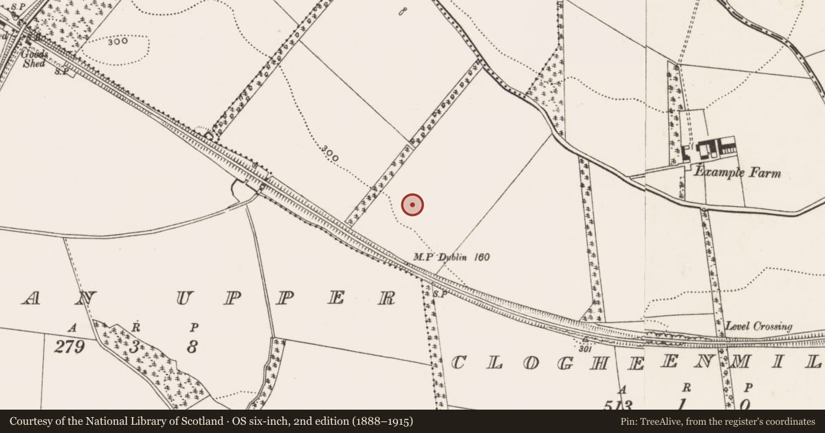 Ordnance Survey six-inch map, 2nd edition (1888–1915) covering the location of Fulacht fia, Clogheenmilcon, County Cork, with a pin at the register's coordinates