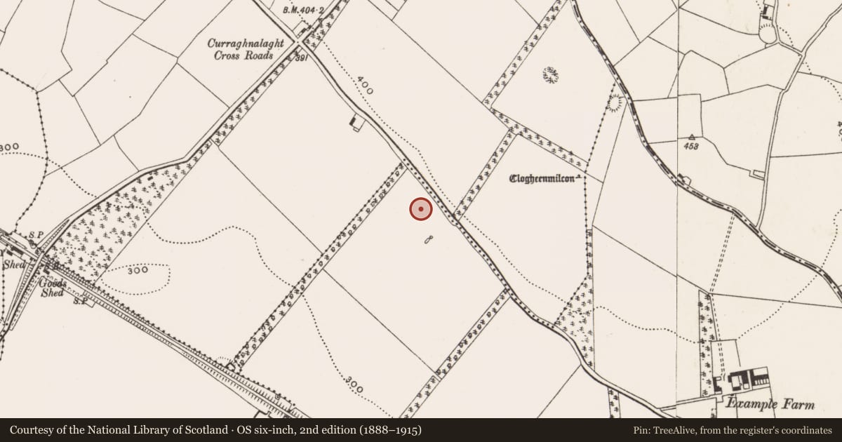Ordnance Survey six-inch map, 2nd edition (1888–1915) covering the location of Fulacht fia, Clogheenmilcon, County Cork, with a pin at the register's coordinates