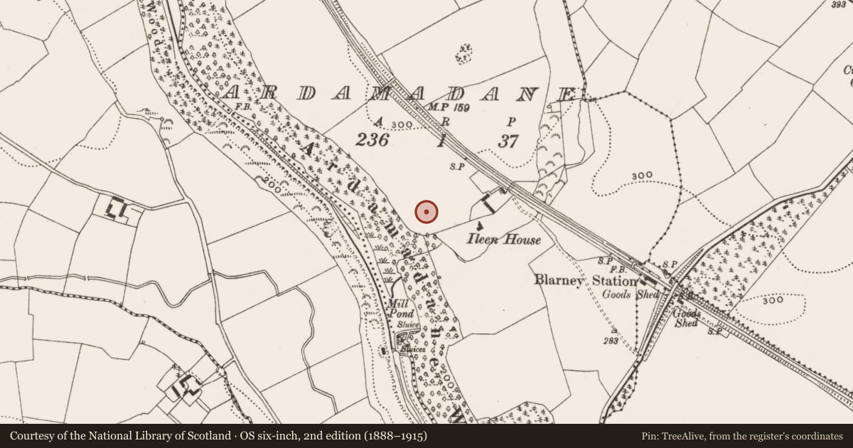 Ordnance Survey six-inch map, 2nd edition (1888–1915) covering the location of Milestone (present location), Ardamadane, County Cork, with a pin at the register's coordinates