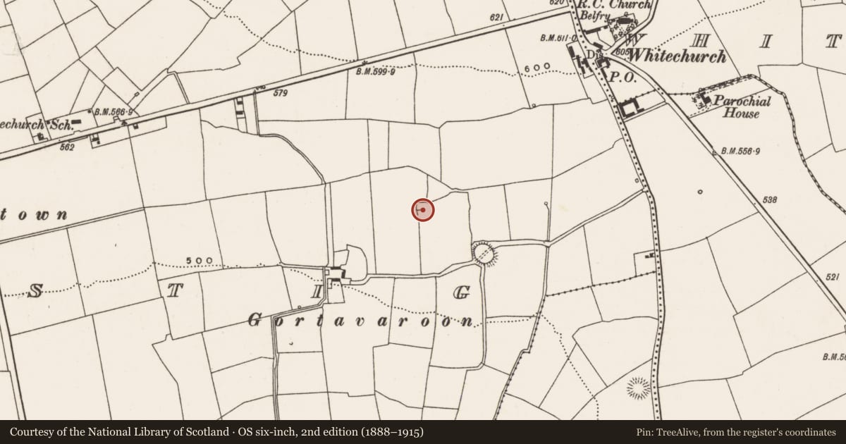 Ordnance Survey six-inch map, 2nd edition (1888–1915) covering the location of Enclosure, Farranastig, County Cork, with a pin at the register's coordinates