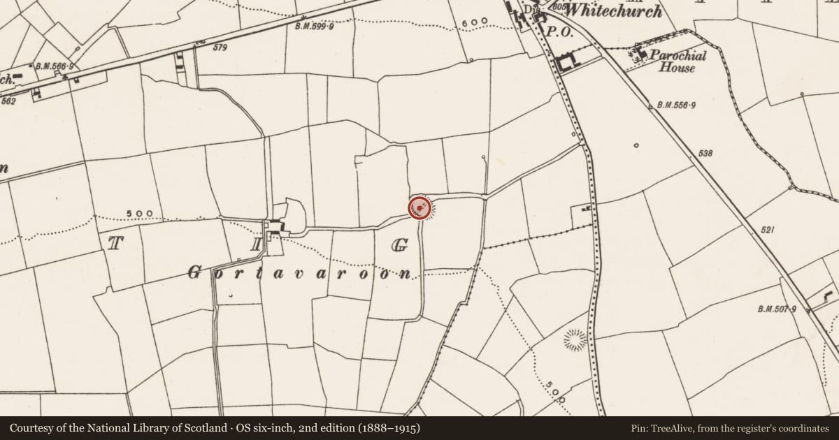 Ordnance Survey six-inch map, 2nd edition (1888–1915) covering the location of Ringfort - rath, Farranastig, County Cork, with a pin at the register's coordinates