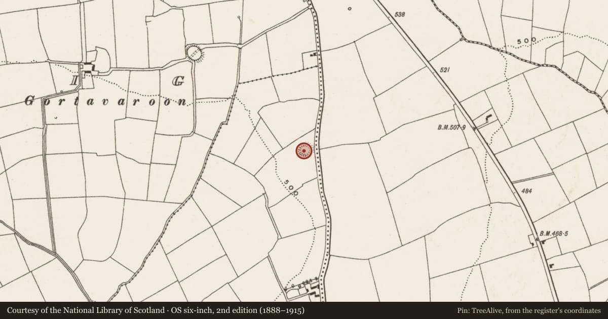 Ordnance Survey six-inch map, 2nd edition (1888–1915) covering the location of Ringfort - rath, Boolybeg, County Cork, with a pin at the register's coordinates